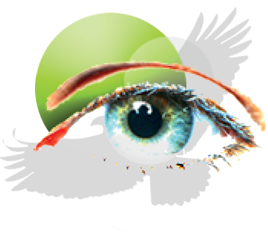 Didier GAUTRON Photographiste