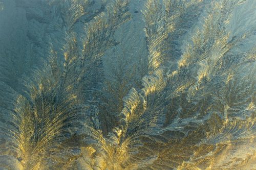 00-Didier_Gautron-Accueil-Fleurs-de-givre