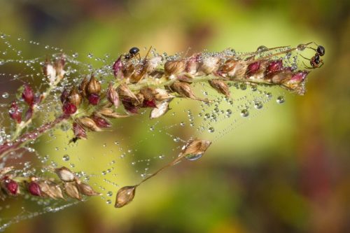 00-Didier_Gautron-Accueil-Natrure