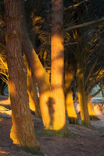 01-Didier_Gautron-France-Bretagne