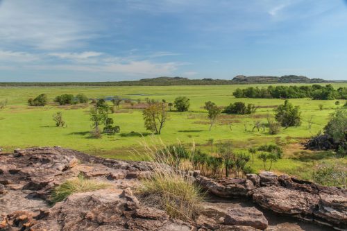 03-Didier_Gautron-Australie-2011