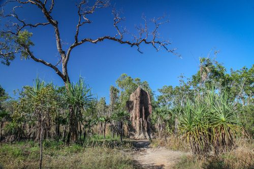 06-Didier_Gautron-Australie-2011