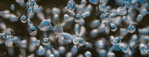 06b-Didier_Gautron-Macro-Bulles