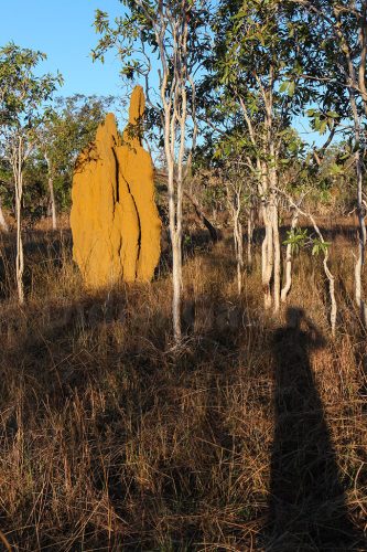 07-Didier_Gautron-Australie-2011
