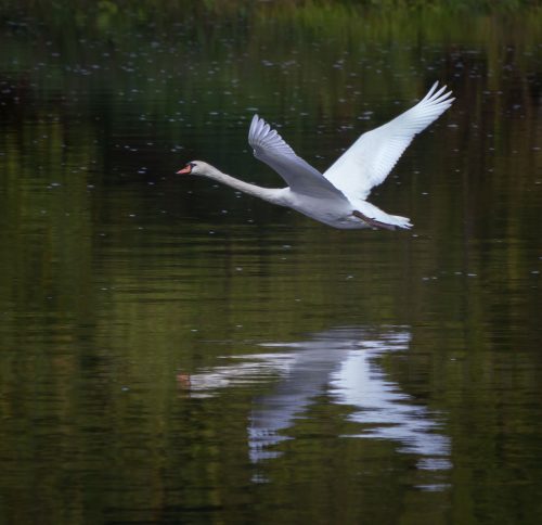07-Didier_Gautron-France-Dordogne