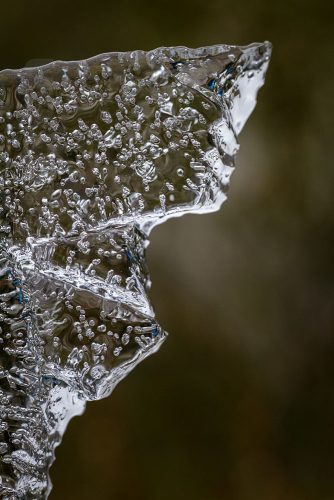 08-Didier_Gautron-Macro-Bulles