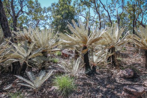 09-Didier_Gautron-Australie-2011