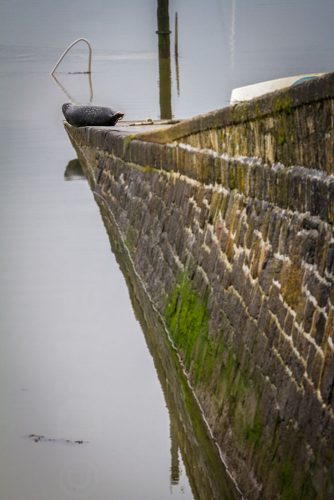 09-Didier_Gautron-France-Bretagne