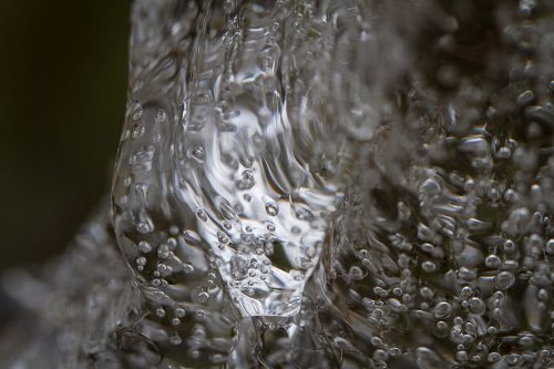 10-Didier_Gautron-Macro-Bulles