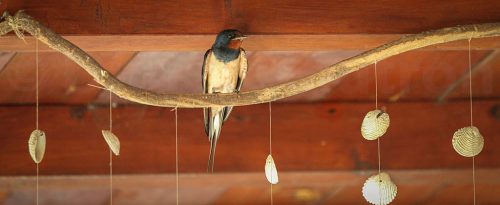 10-Didier_Gautron_Greece-Croatie-Montenegro-2013