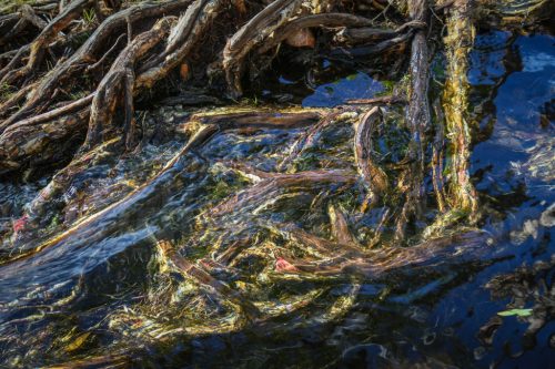 11-Didier_Gautron-Australie-2011