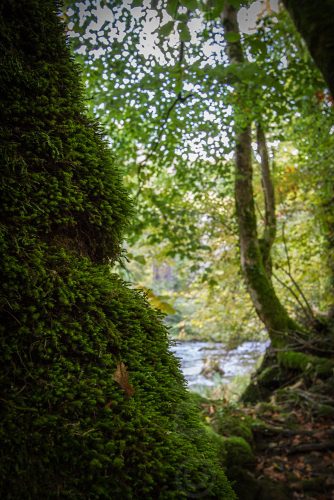 12-Didier_Gautron-France-Lot