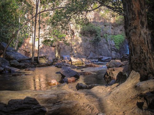 13-Didier_Gautron-Australie-2011