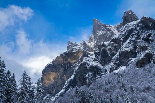 15-Didier_Gautron-France-Haute-Savoie