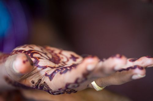 15-Didier_Gautron-Inde-Kerala-2013