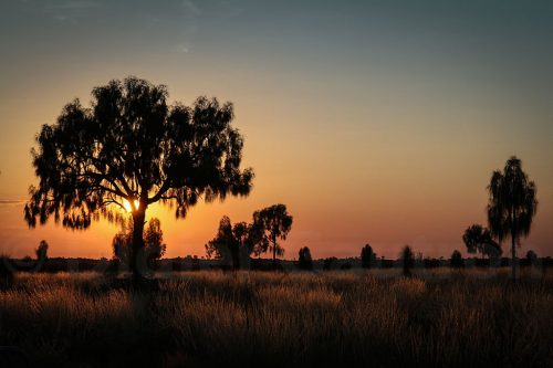 16-Didier_Gautron-Australie-2011