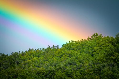 16-Didier_Gautron-France-Dordogne