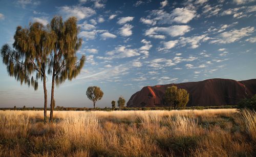 17-Didier_Gautron-Australie-2011
