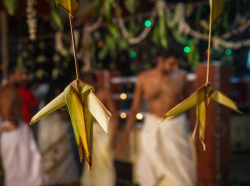 18-Didier_Gautron-Inde-Kerala-2013