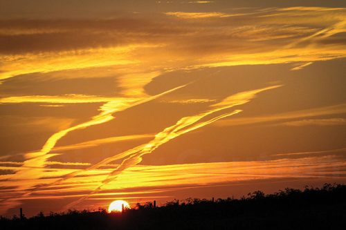 19-Didier_Gautron-France-Normandie