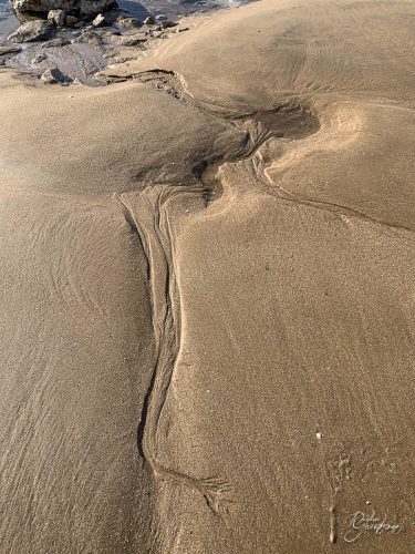 2025-12-25-Fleurs-Atlantique-16