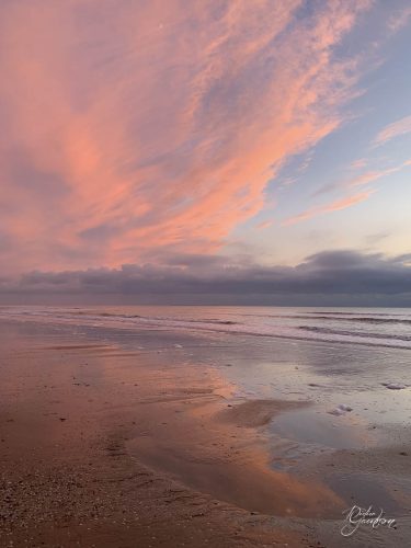 2025-12-25-Fleurs-Atlantique--39