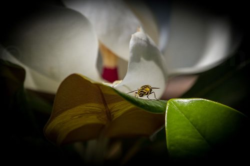 23-Didier_Gautron_Greece-Croatie-Montenegro-2013