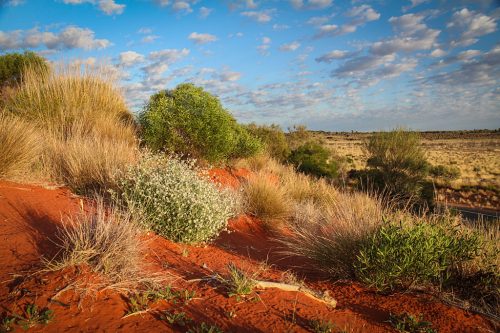 24-Didier_Gautron-Australie-2011