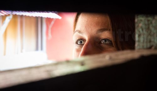 25-Didier_Gautron-Inde-Kerala-2013