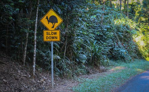 27-Didier_Gautron-Australie-2011