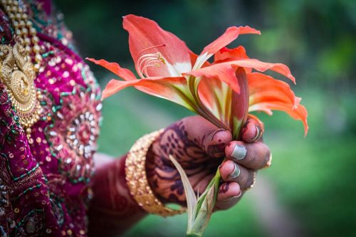 28-Didier_Gautron-Inde-Kerala-2013