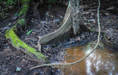 31-Didier_Gautron-Australie-2011