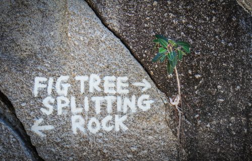 32-Didier_Gautron-Australie-2011