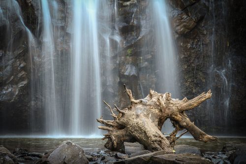 37-Didier_Gautron-Australie-2011