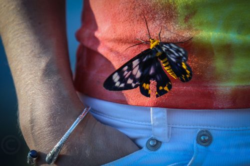 39-Didier_Gautron-Australie-2011