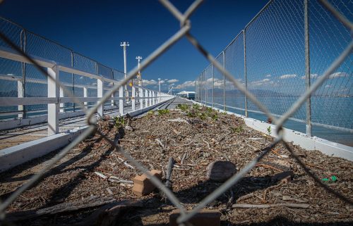 43-Didier_Gautron-Australie-2011