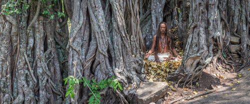 64-Didier_Gautron-Inde-Kerala-2013