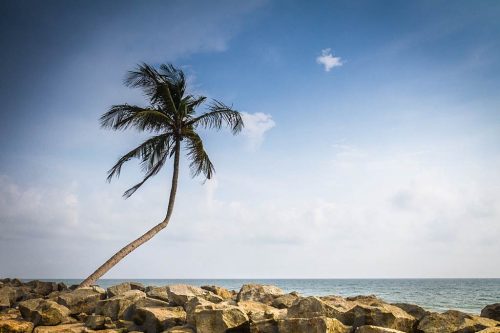 69-Didier_Gautron-Inde-Kerala-2013