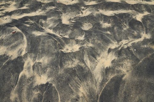 71-Didier_Gautron-Inde-Kerala-2013