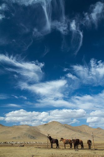 Didier_Gautron-Ciels-06