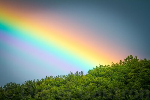 Didier_Gautron-Ciels-12