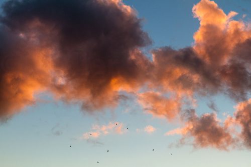 Didier_Gautron-Ciels-17