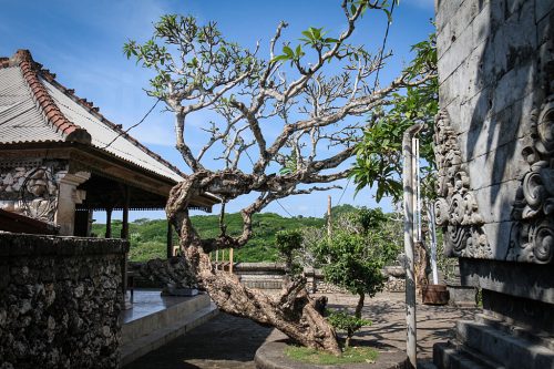 Didier_Gautron_Bali_2010-05