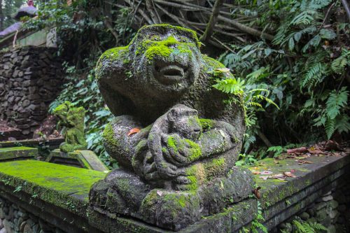 Didier_Gautron_Bali_2010-10