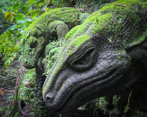 Didier_Gautron_Bali_2010-11