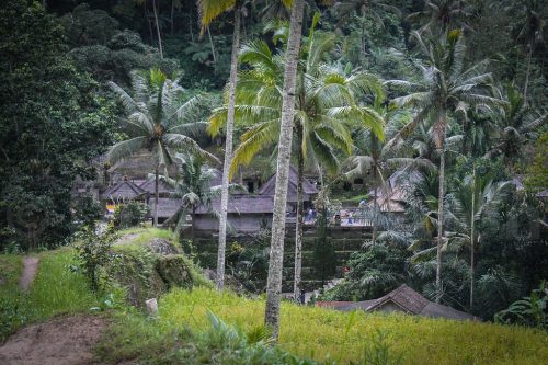 Didier_Gautron_Bali_2010-19