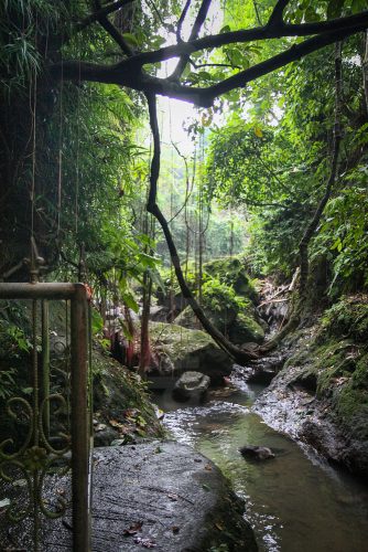 Didier_Gautron_Bali_2010-28