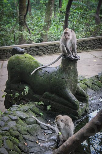 Didier_Gautron_Bali_2010-30