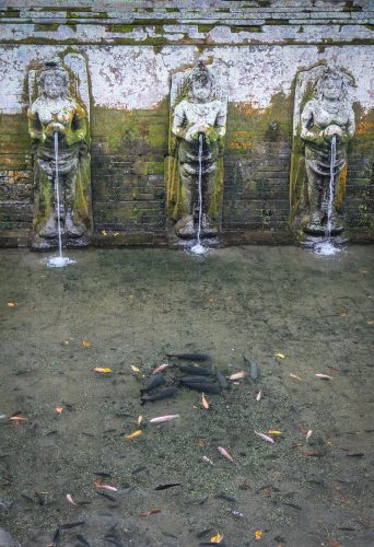 Didier_Gautron_Bali_2010-32