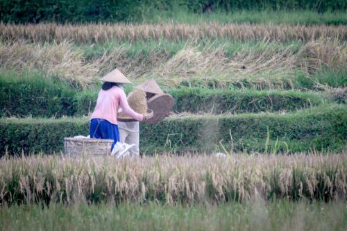 Didier_Gautron_Bali_2010-46